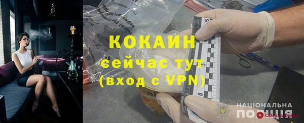 молекула духа Каменка