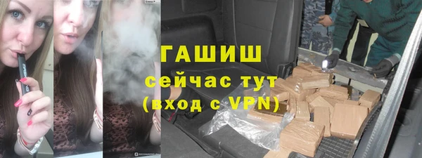 соль ск Инсар