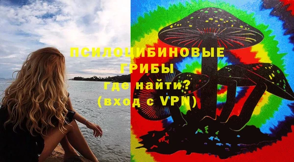 мет Инта