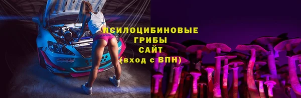 молекула духа Каменка