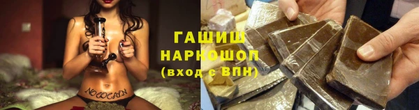 молекула духа Каменка