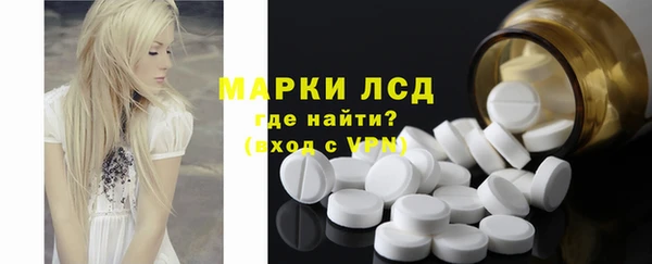 молекула духа Каменка
