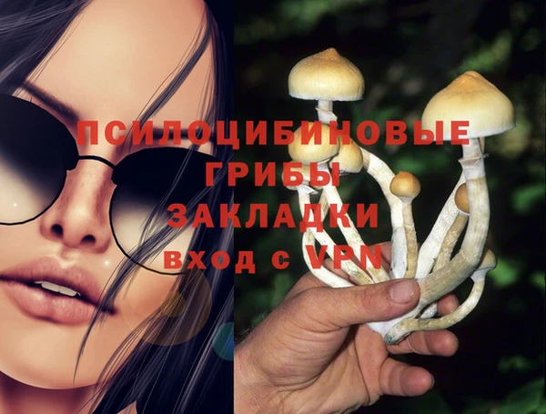 соль ск Инсар