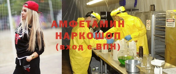 молекула духа Каменка