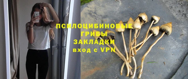 каннабис Каменногорск