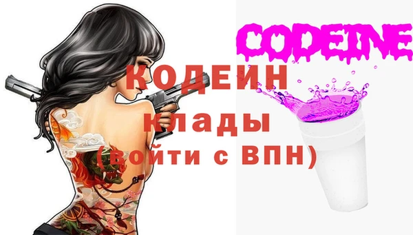 мет Инта
