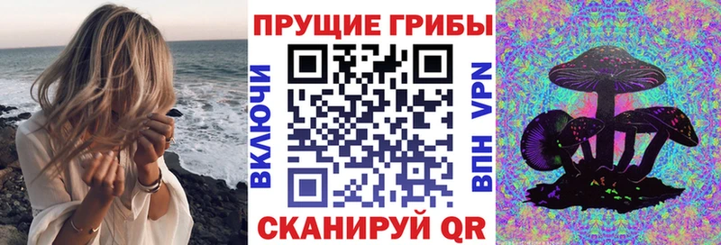 Псилоцибиновые грибы GOLDEN TEACHER  Купить  Богородск 